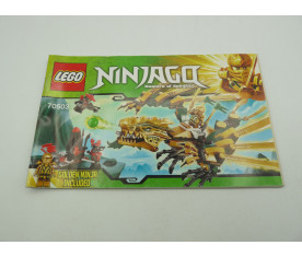 Notice Lego Ninjago 70503