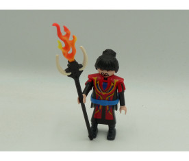 Playmobil - sorcier...