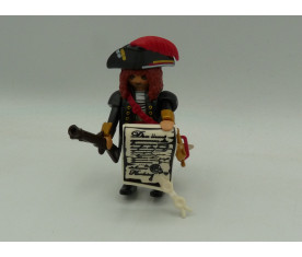 Playmobil - pirate...