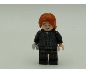 Lego Harry Potter : Peter...